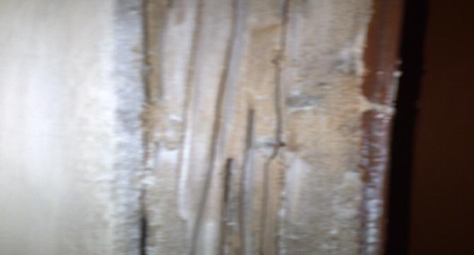 Nasty â€˜â€™Termite Attackâ€™â€™ at my home