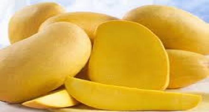 Mango the king of fruits