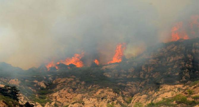 Indonesian clerics issue fatwa against forest fires