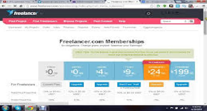 Earn money online with FreeLance