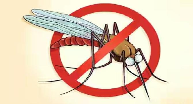How To Prevent Malaria