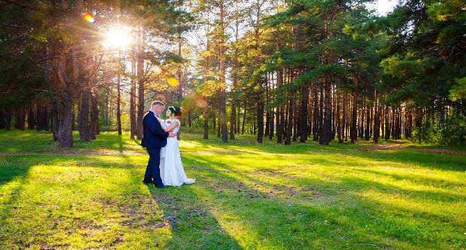 Delayed marriages and rate of sex crimes