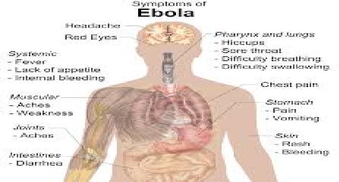 Basic Facts About Ebola Virus Disease ( Part 2)