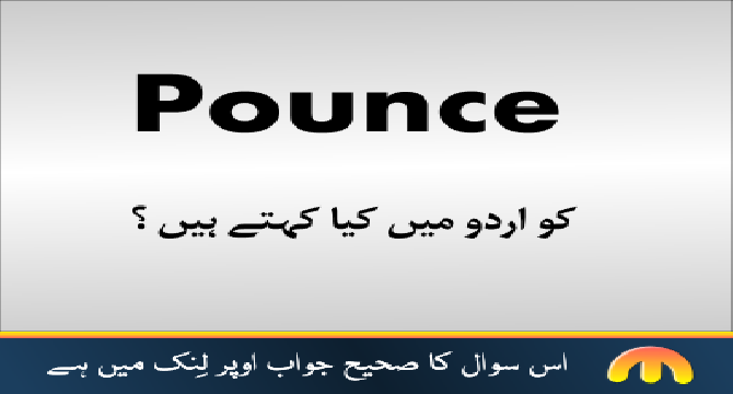 Meaning of Pounce