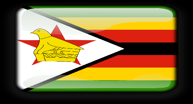 It was not easy for Team Zimbabwe but they dared