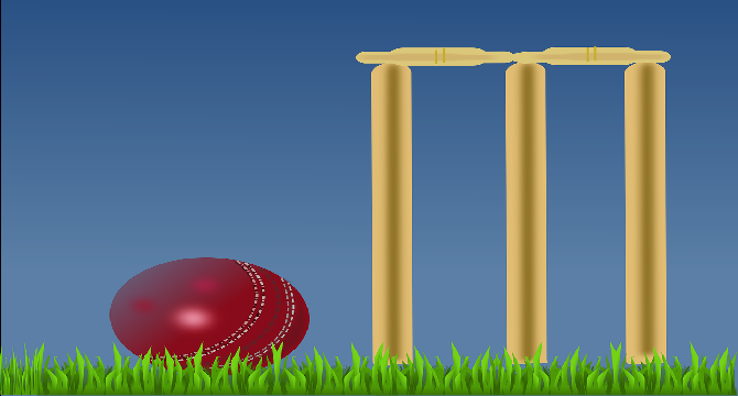 What is the future of Pakistani Cricket Team?