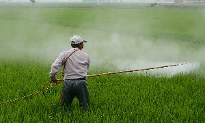 Rural life is no longer healthy.