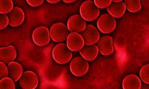 What is Hemoglobin?