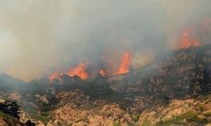 Indonesian clerics issue fatwa against forest fires