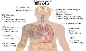 Basic Facts About Ebola Virus Disease ( Part 2)